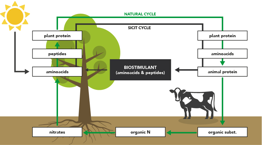 Schema Circular Economy