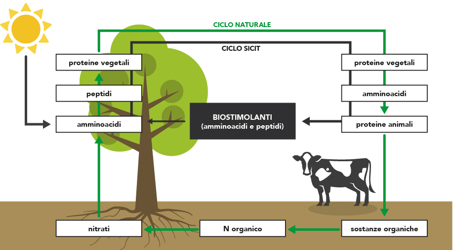 Schema Circular Economy